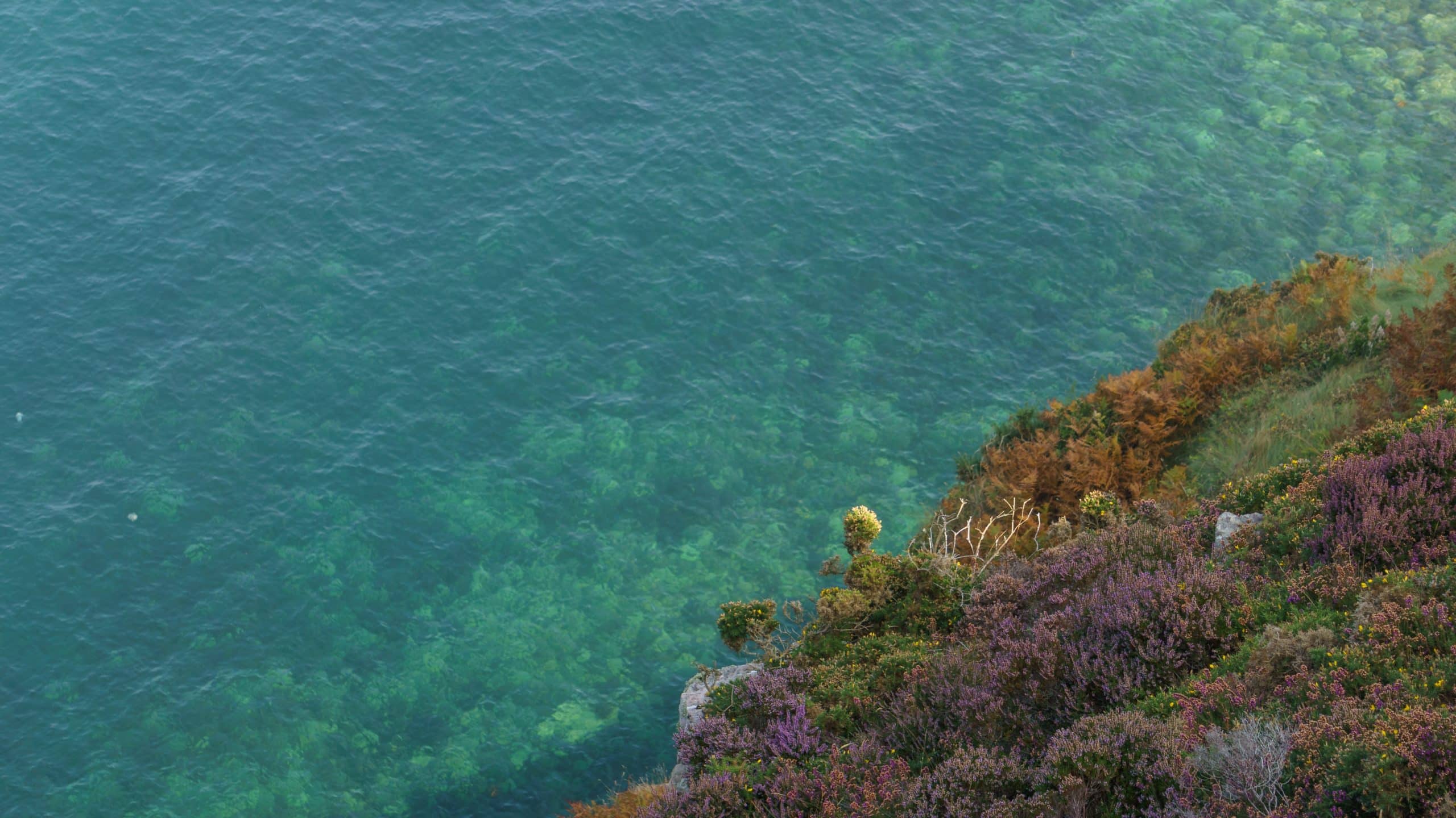 Eau turquoise en bretagne