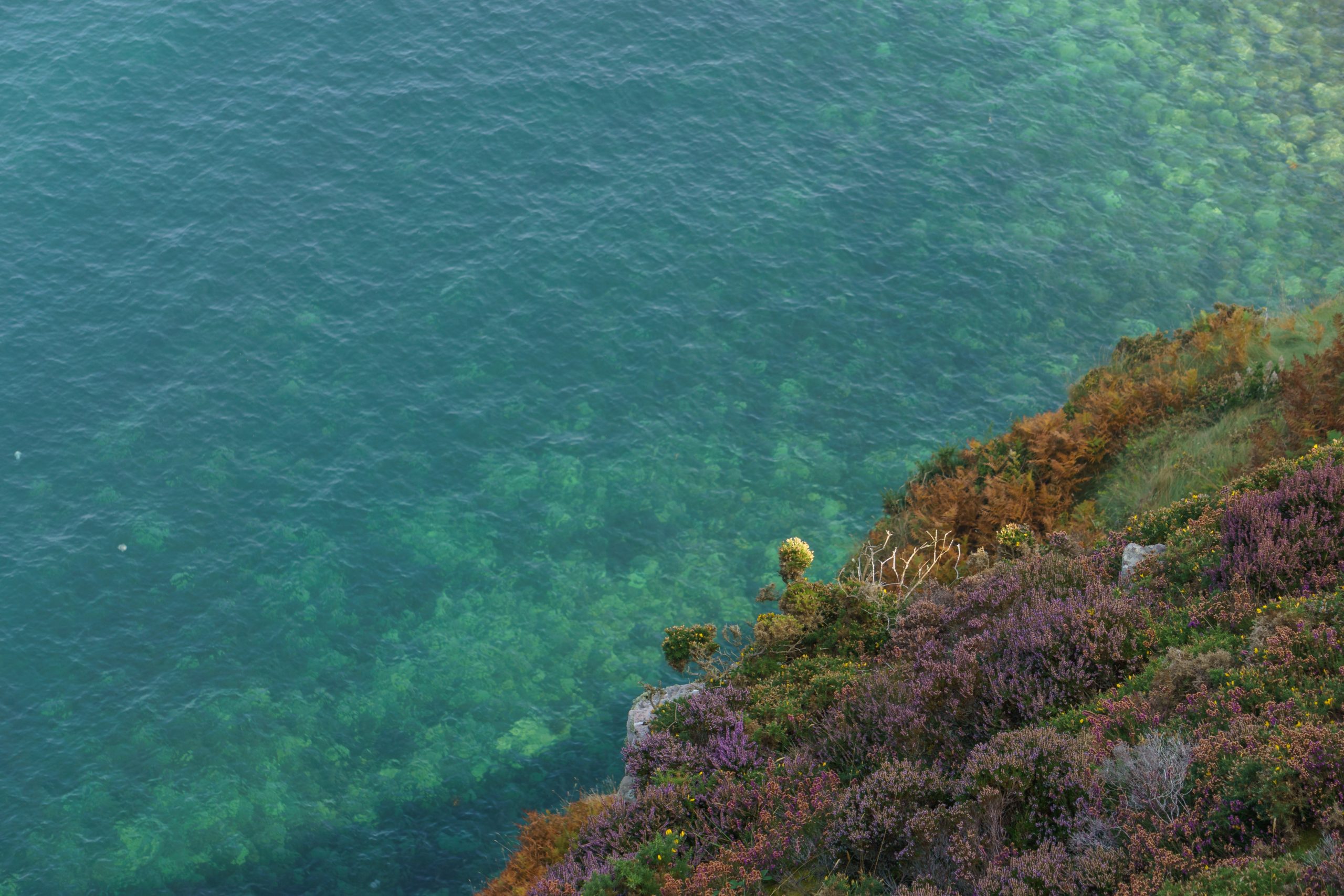 Turquoise water in Bretagne