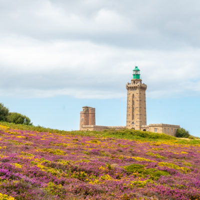Het Fort la Latte en een bloemenveld
