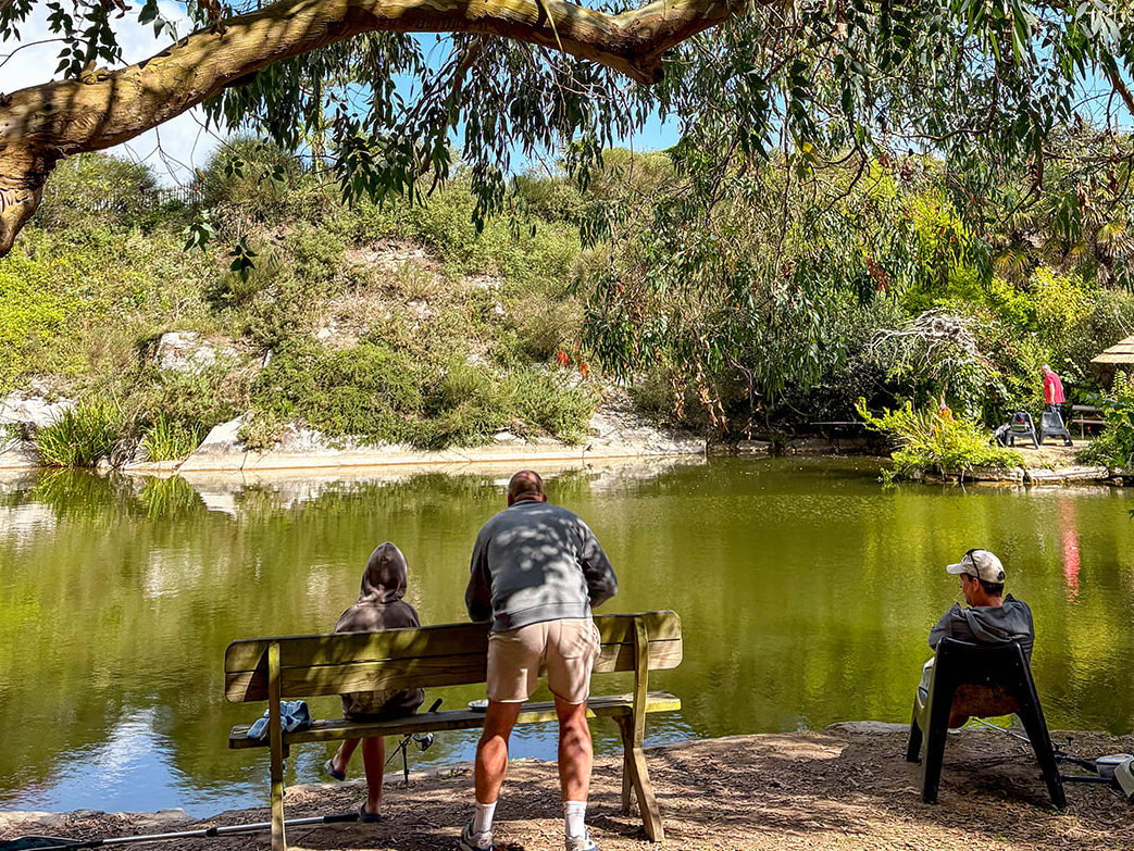 Étang de pêche dans un camping breton