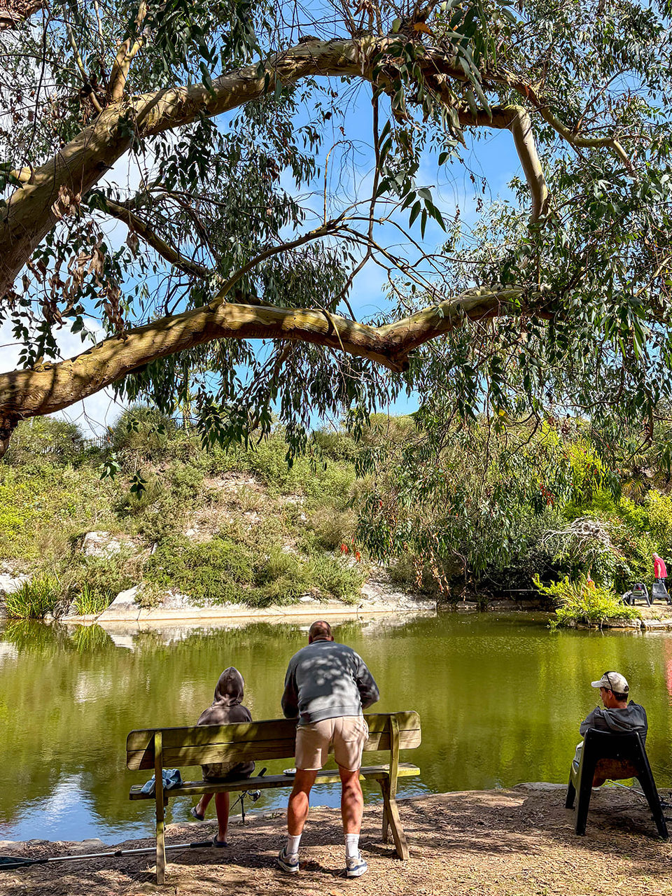 Étang de pêche dans un camping breton